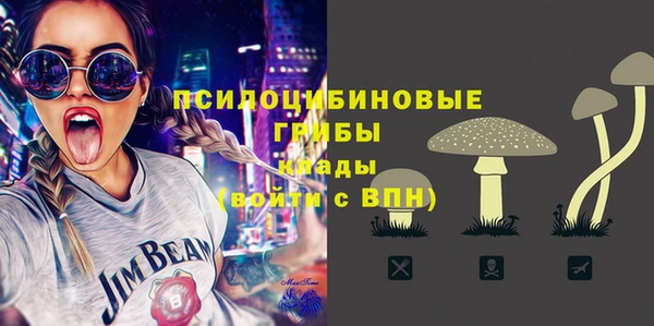 СК Аркадак