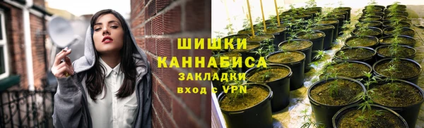 СК Аркадак